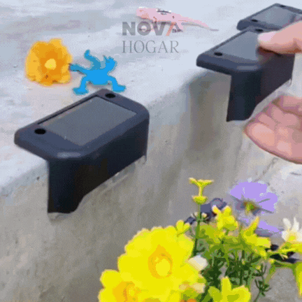 Encabezado